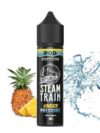 Steam Train Pod Edition Under Pressure 20ml/60ml