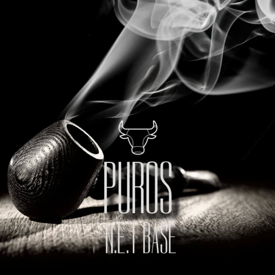 el toro puros net base