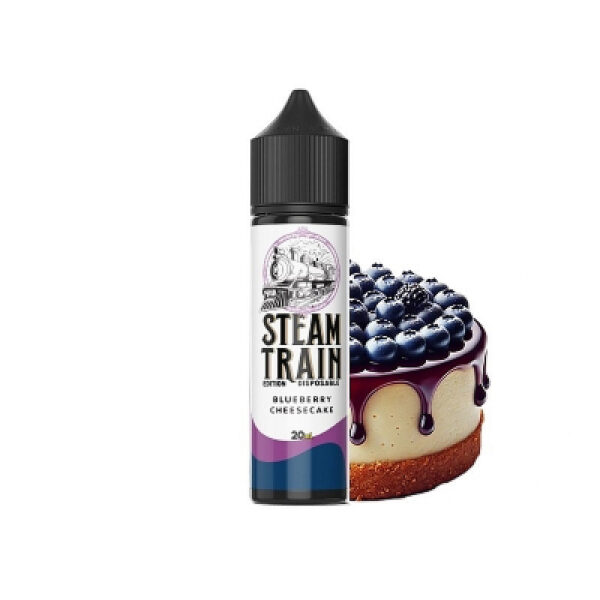 Blueberry Cheesecake 20/60ml Disposable Edition by Steam Train