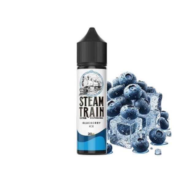 Blueberry Ice 20/60ml Disposable Edition by Steam Train