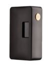 DotSquonk 100W by Dotmod