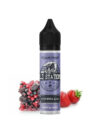 Red Berries Slash 12/60ml Old Stations by Steam Train