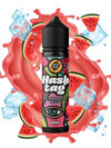 Watermelon Heist (Ice) #15 12/60ml by Hashtag
