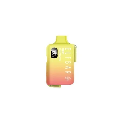 EB10000 Refillable Device by Elfbar - Triple Mango 2ml 20mg